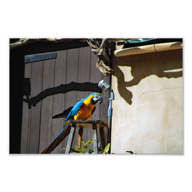 Foto Zoo de Los Angeles (Frente)