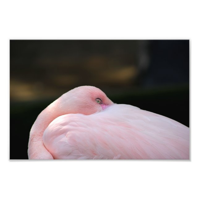 Foto Zoo de Los Angeles (Frente)