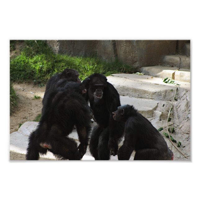 Foto Zoo de Los Angeles (Frente)