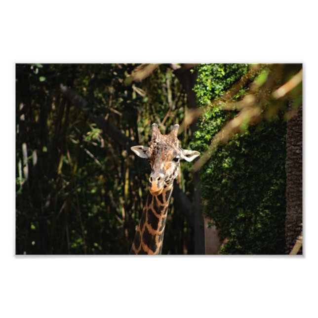 Foto Zoo de Los Angeles (Frente)