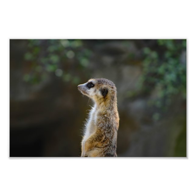 Foto Zoológico de Los Angeles (Frente)