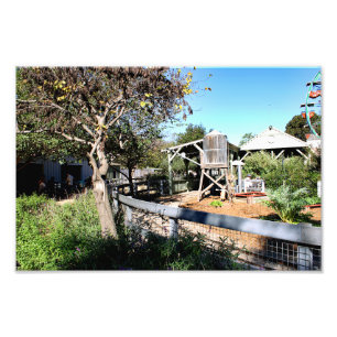 Foto Zoológico de Santa Ana