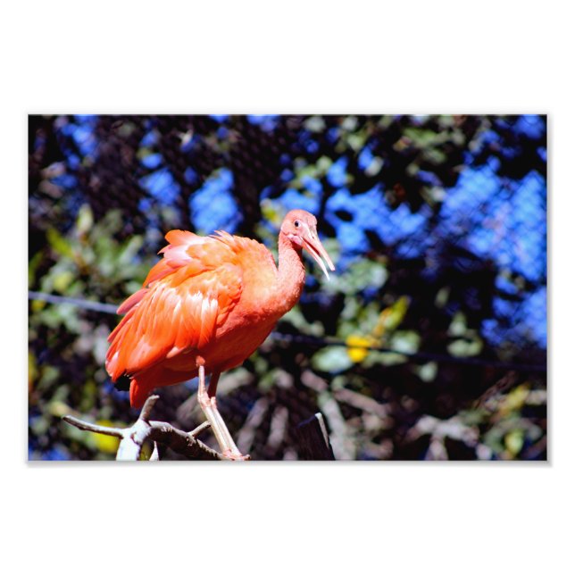 Foto Zoológico de Santa Ana (Frente)