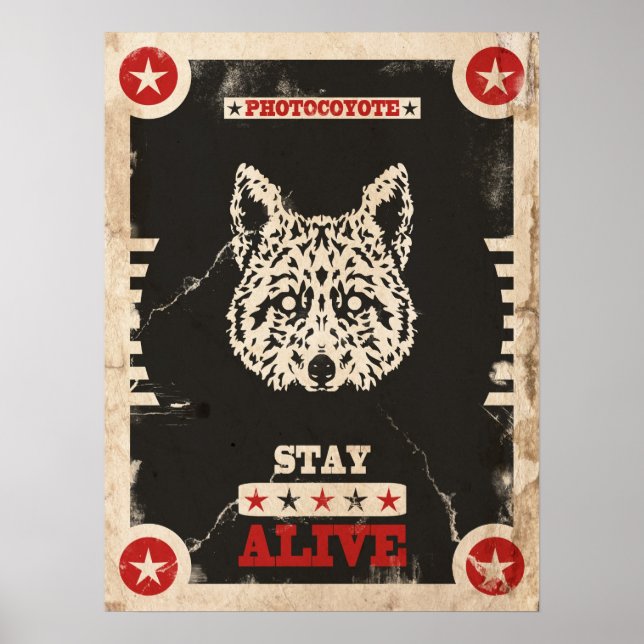 Fotocoyote poster 2014 3 (Frente)