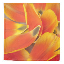 Fotografia alaranjada vibrante das pétalas da