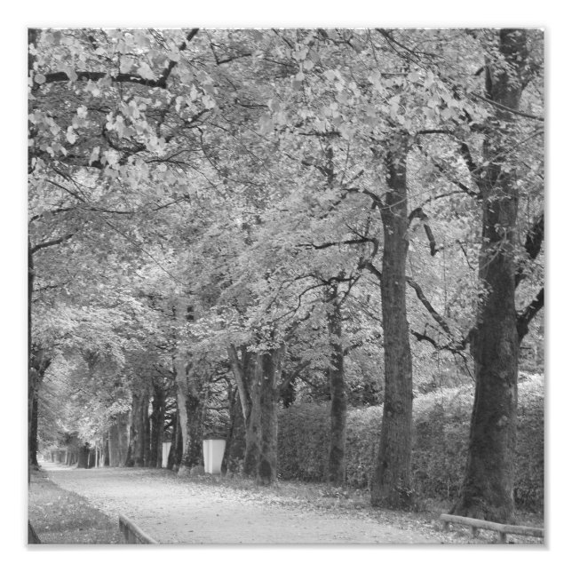 Fotografia "Archway" (Frente)
