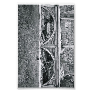 Fotografia B2 4x6 preto e branco da letra do