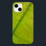 Fotografia Botânica de Folha Verde<br><div class="desc">Uma das minhas coisas favoritas sobre o verão é olhar em volta e ver verde em todo lugar - plantas verdes, grama verde, folhas verdes. Aqui está uma fotografia macro mostrando um close-up de uma folha verde-clara de árvore. Esta imagem também é apresentada como o wallpaper widescreen "Green Leaf" na...</div>