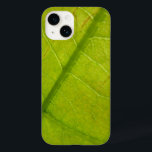 Fotografia Botânica de Folha Verde<br><div class="desc">Uma das minhas coisas favoritas sobre o verão é olhar em volta e ver verde em todo lugar - plantas verdes, grama verde, folhas verdes. Aqui está uma fotografia macro mostrando um close-up de uma folha verde-clara de árvore. Esta imagem também é apresentada como o wallpaper widescreen "Green Leaf" na...</div>