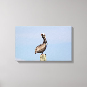 Fotografia da Canvas de Pesca Pelicana da Praia