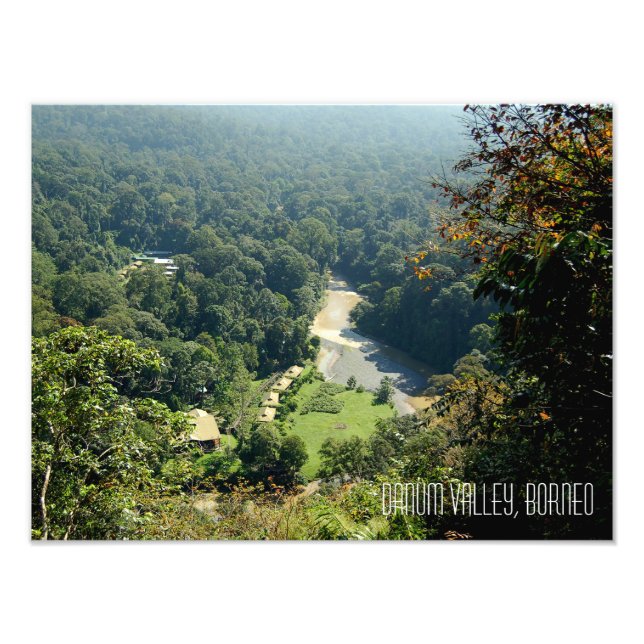 Fotografia da floresta tropical de Borneo no Vale  (Frente)