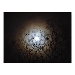 Fotografia da lua cheia