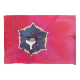 Fotografia da Macro Natureza da Pasta Vermelha Neg