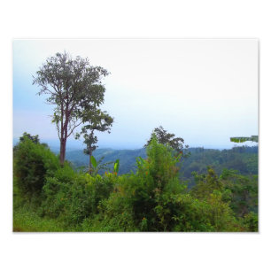 Fotografia da natureza