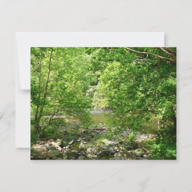 Fotografia da Natureza do Rio Patapsco em Maryland (Frente)