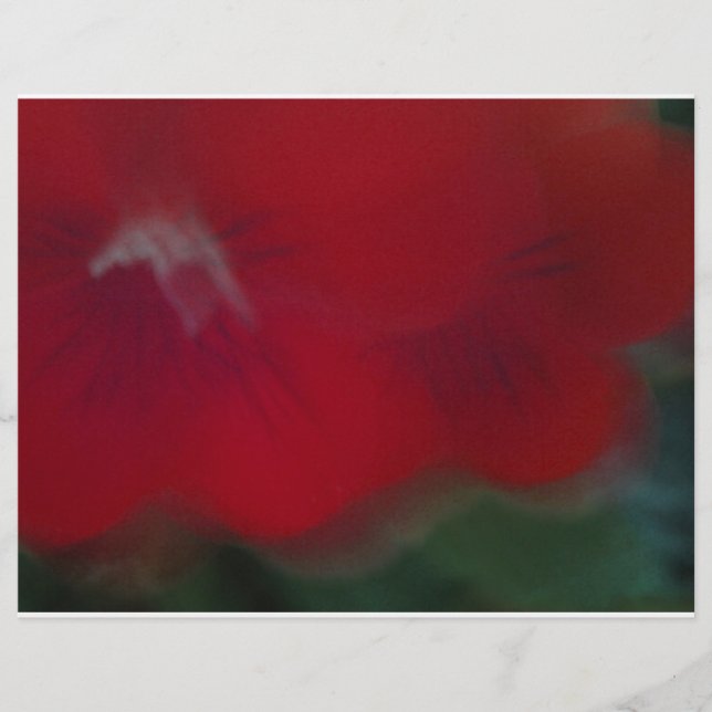 Fotografia das Flores Modernas Vermelhas Brilhante (Frente)