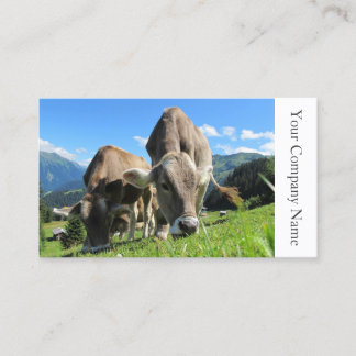 Fotografia das vacas felizes - Cartão de visita