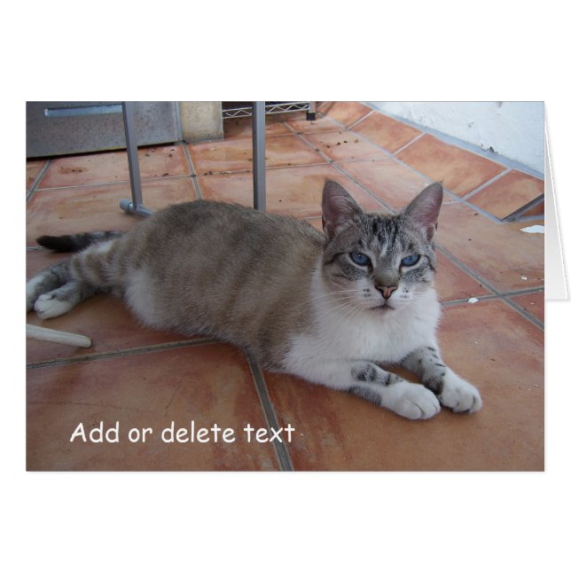 Fotografia de Cartão Saudável (Frente Horizontal)