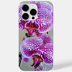 Fotografia de Fechamento da Orquídea Púrpura e Bra