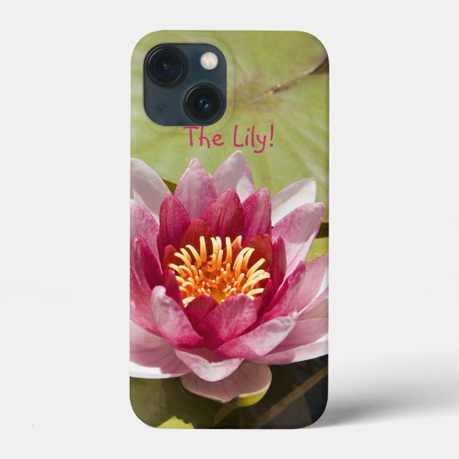 Fotografia de Fecho da Flor de Água Rosa (Verso)