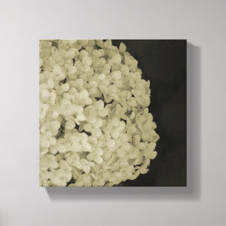 Fotografia de flor canvas