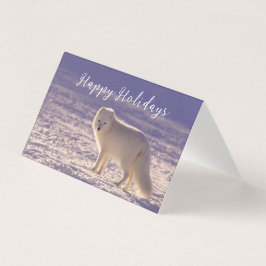 Fotografia de inverno com Raposa Árctica Branca Cu