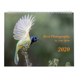 Fotografia de pássaro por Tom Spine, calendário 