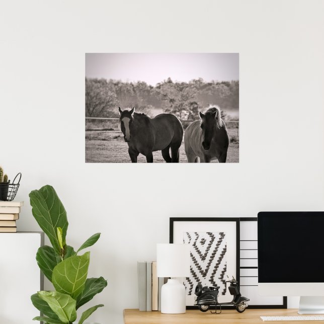 Fotografia de Poster de Cavalo (Escritório em casa)