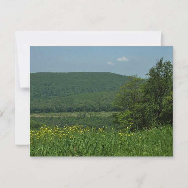 Fotografia de Verão de Laurel Highlands Pensilvâni (Frente)