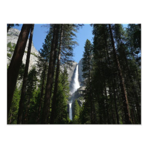 Fotografia de Yosemite Falls and Woods Landscape