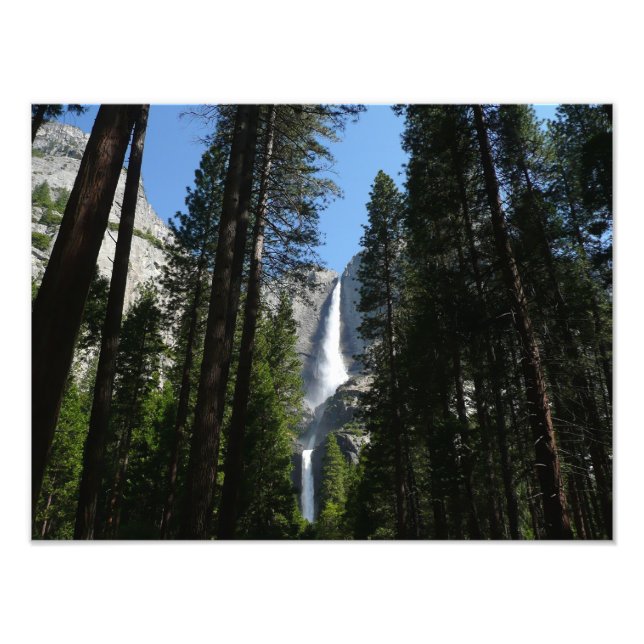 Fotografia de Yosemite Falls and Woods Landscape (Frente)