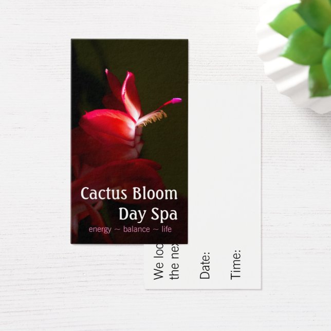 Fotografia do Bloom de Cactos de Natal Rosa (Mesa)