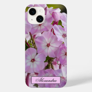 Fotografia do Phlox Rosa Floral
