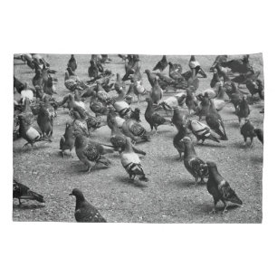 Fotografia em preto e branco de muitos pombos