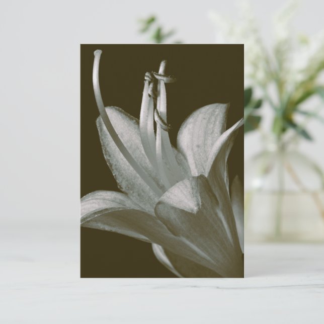 Fotografia Hosta Flower, Elegante Vintage Sepia (Em pé/Frente)