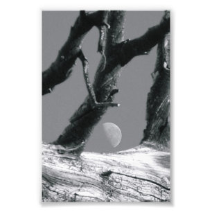 Fotografia M7 4x6 preto e branco da letra do