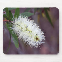 Fotografia macro em um mouse pad