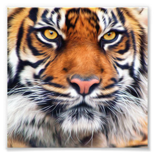 Fotografia masculina da pintura do tigre Siberian