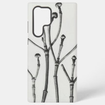 Fotografia Minimalista da Natureza em Preto e Bran