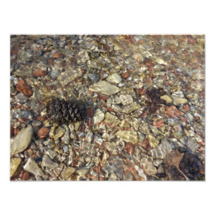 Fotografia natural de Taylor Creek