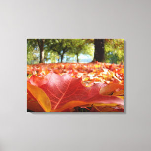Fotografia natureza Arte de Parede Decoração Folha