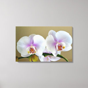 Fotografia Orquídea Exótica em Arte Canvas