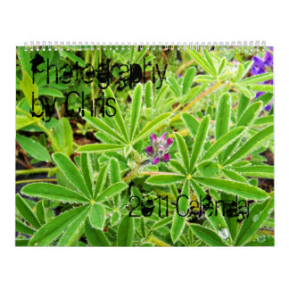 Fotografia pelo calendário de Chris 2011