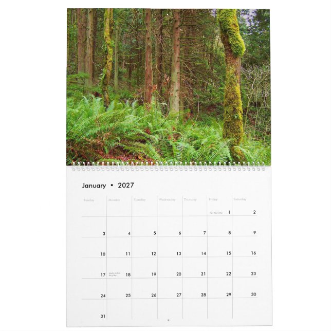 Fotografia pelo calendário de Chris 2011 (Jan 2027)