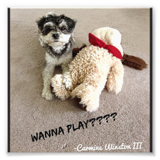 Fotografia personalizada de carmim 6x6