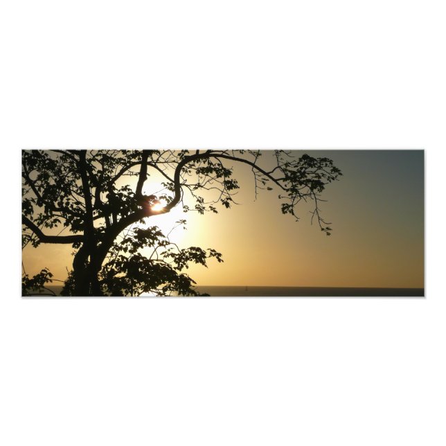 Fotografia Tropical II através do Sol (Frente)