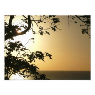Fotografia Tropical II através do Sol
