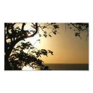 Fotografia Tropical II através do Sol