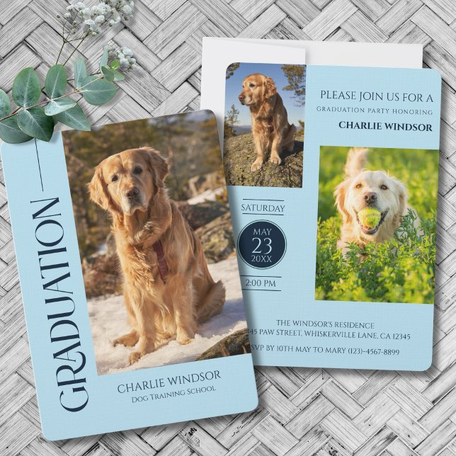 Fotos de Animais de Estimação Convite para Festa d (Dog Graduation Party Invitation with Pet Photos in Baby Blue and navy blue)