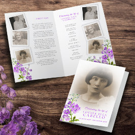 Fotos de delfinium roxas do programa de serviços f